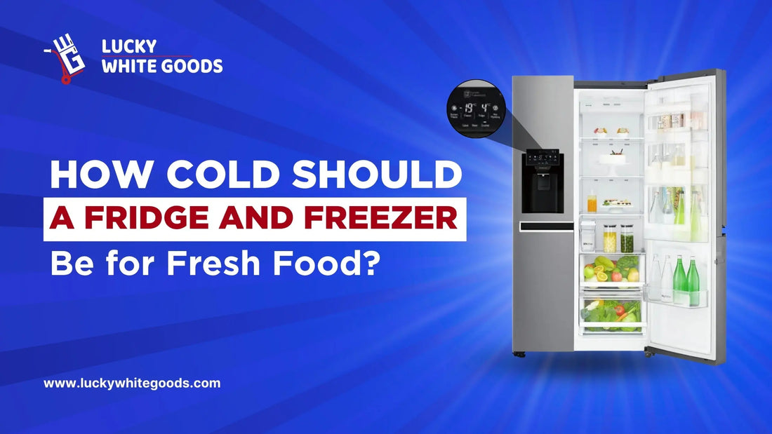 How Cold Should a Fridge and Freezer Be
