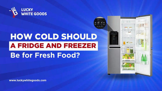 How Cold Should a Fridge and Freezer Be