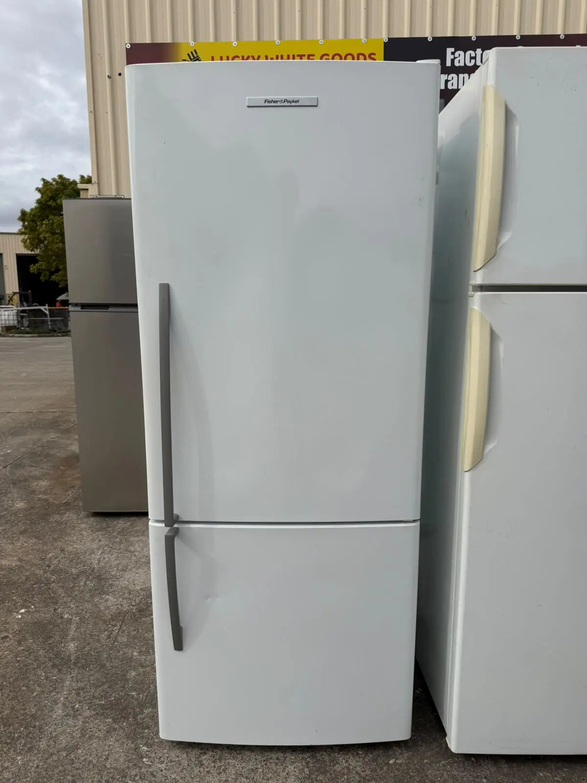 Fisher & Paykel 442L Fridge Freezer – Refurbished