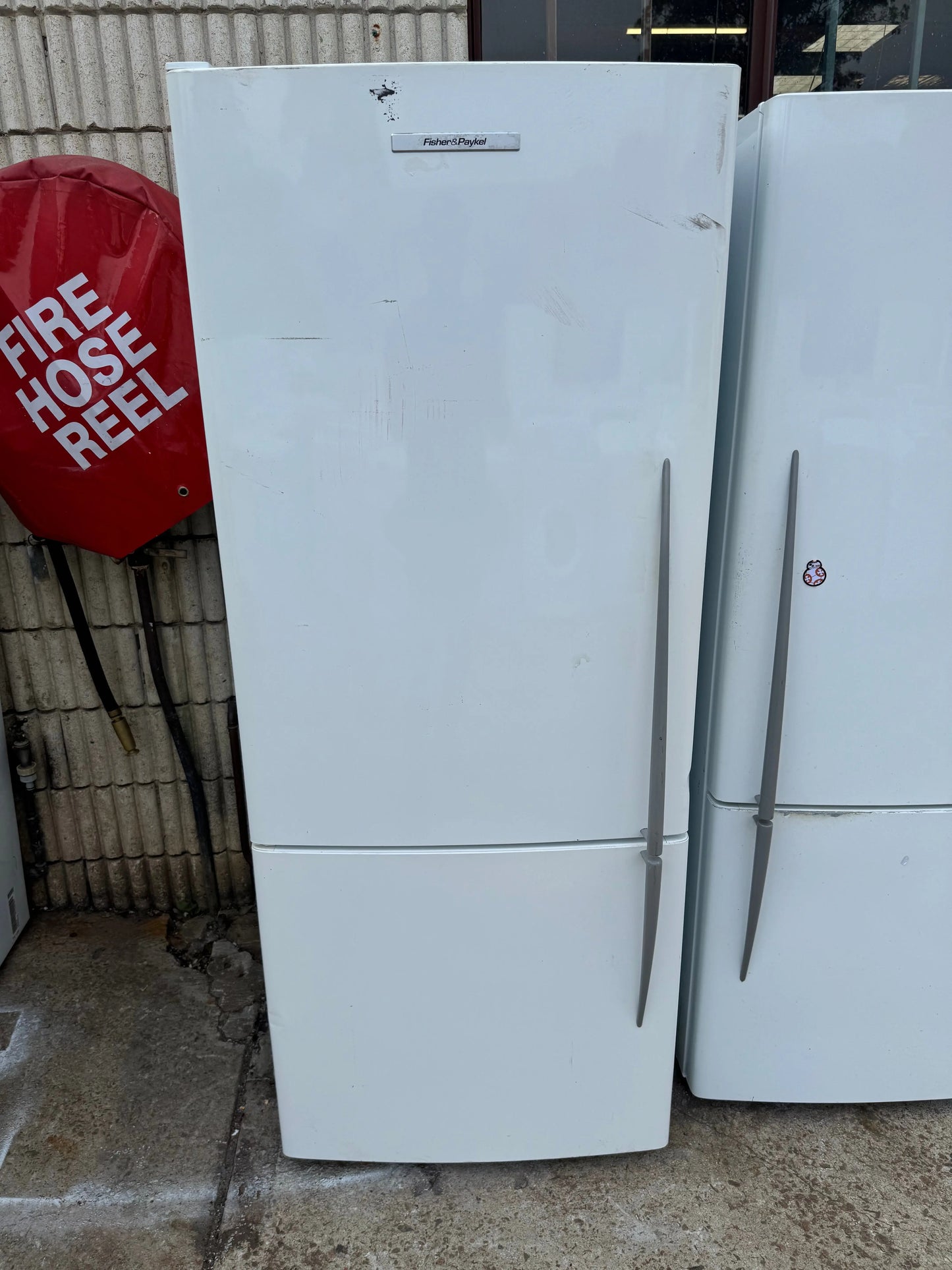 Refurbished Fisher and Paykel 442L Fridge Freezer | SYDNEY