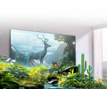 Refurbished Hisense 55″ QLED 4K Smart TV – 55Q6QAU | PERTH