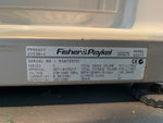 Refurbished fisher and paykel 517L fridge freezer | ALEXANDRIA